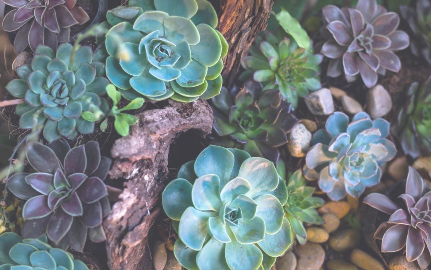 Fresh flower arrangement featuring seasonal blooms in corporate setting