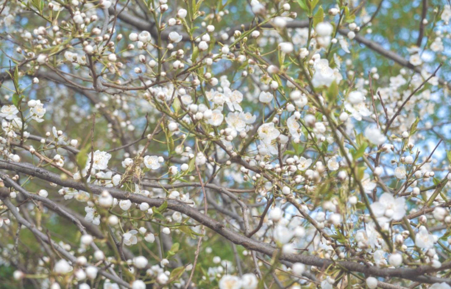 Dried botanical installation in modern office environment